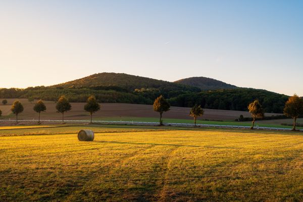 Landschaft